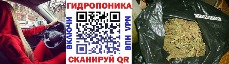 darknet состав  что такое наркотик  Североморск  МАРИХУАНА сатива 